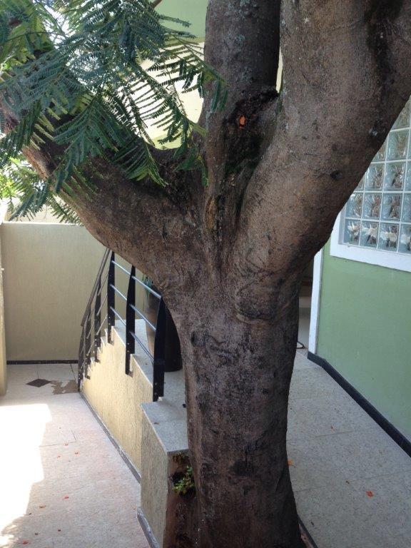 Rio Norte Flats Hotell Rio de Janeiro Eksteriør bilde